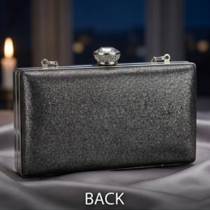 Metallic Frame Evening Box Clutch