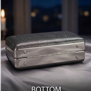 Metallic Frame Evening Box Clutch