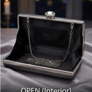 Metallic Frame Evening Box Clutch