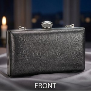 Metallic Frame Evening Box Clutch