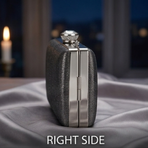 Metallic Frame Evening Box Clutch