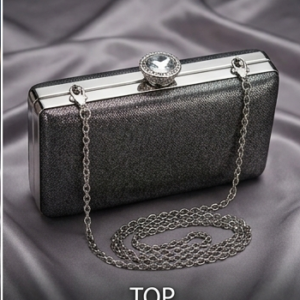 Metallic Frame Evening Box Clutch