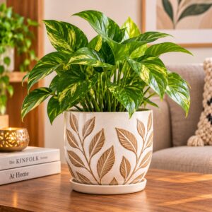 Decorative Indoor Plant Pot